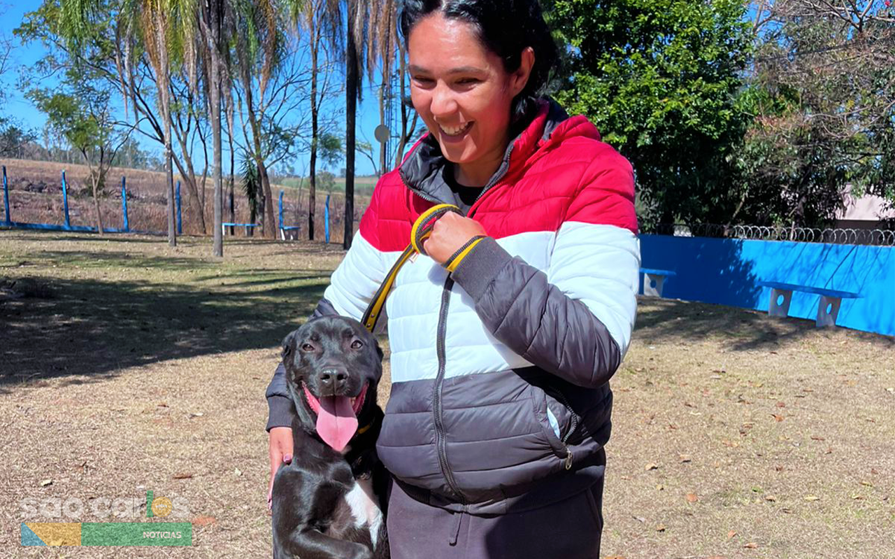 13ª Feira de Adoção Responsável em São Carlos Oferece 292 Pets Prontos para Novos Lares