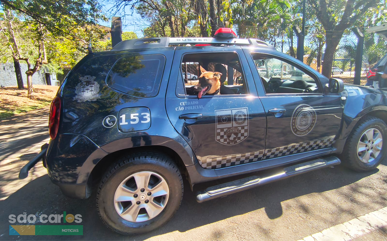 Guarda Municipal apreende drogas em ponto conhecido de tráfico no Santa Angelina
