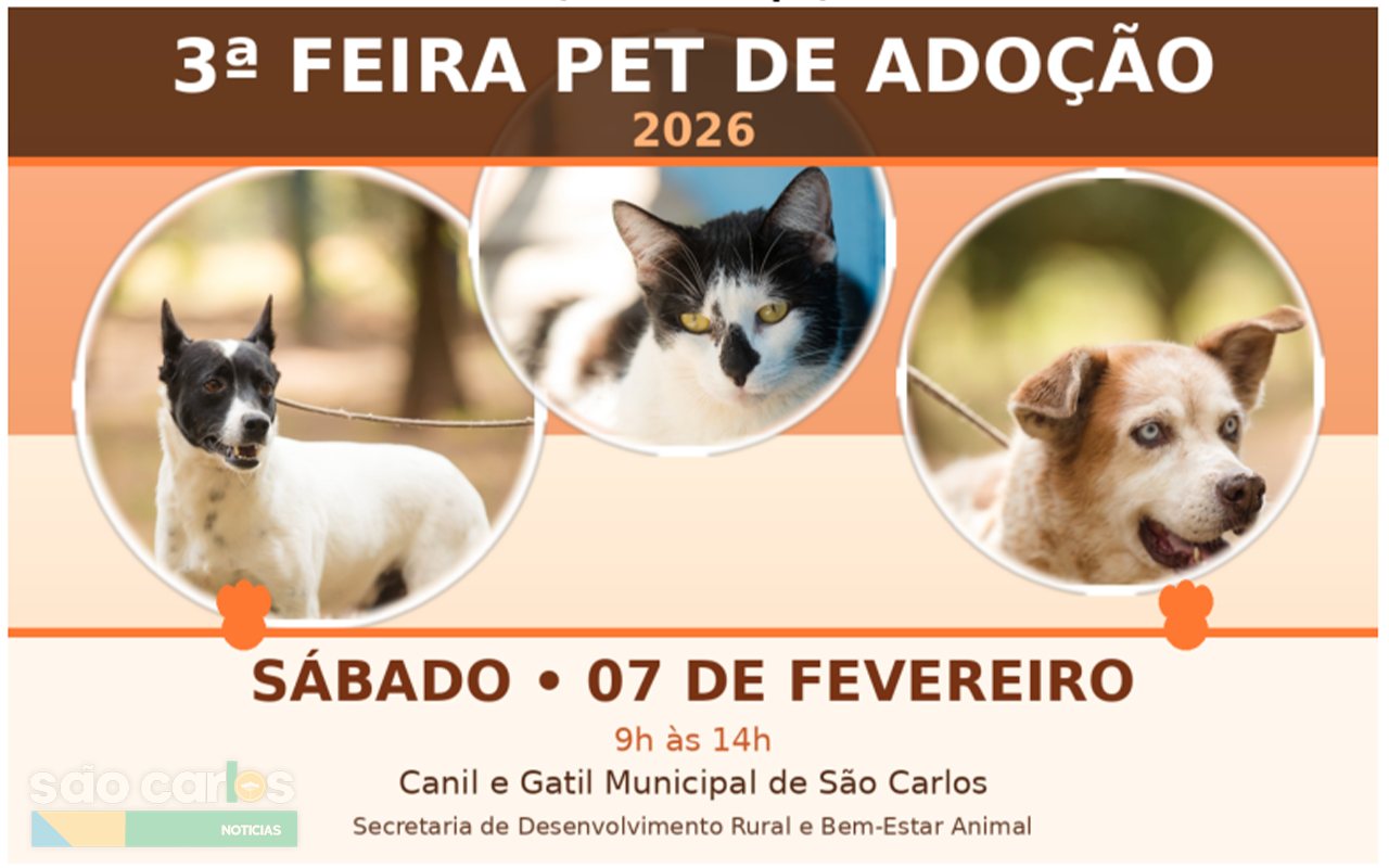 3ª Feira Pet de Adoção 2026: Mais de 290 cães e gatos esperam por um novo lar em São Carlos neste sábado