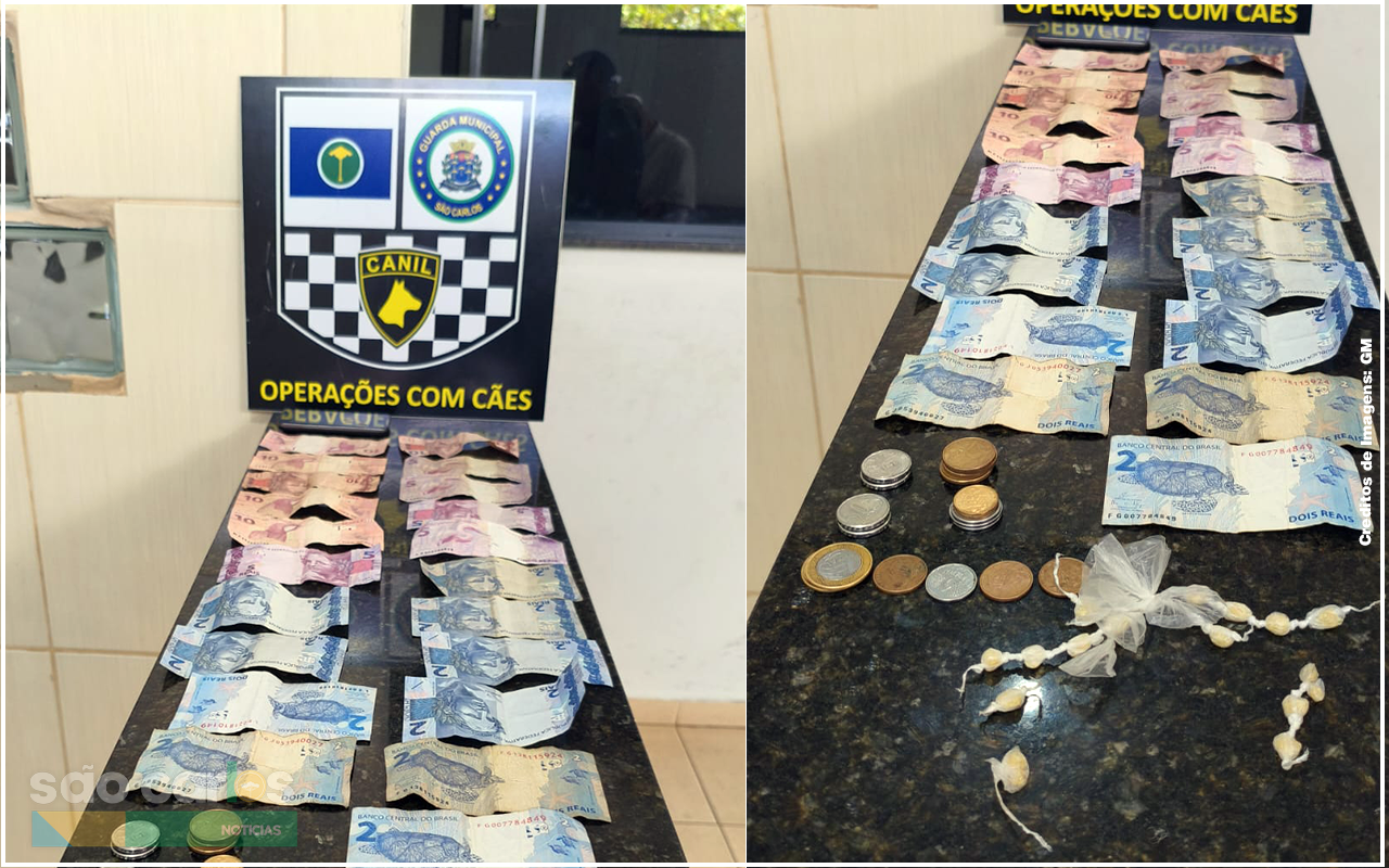 Flagrante na Vila Marcelino: Guarda Municipal usa Equipe Canil para coibir furtos e o consumo de entorpecentes e prende homem por tráfico