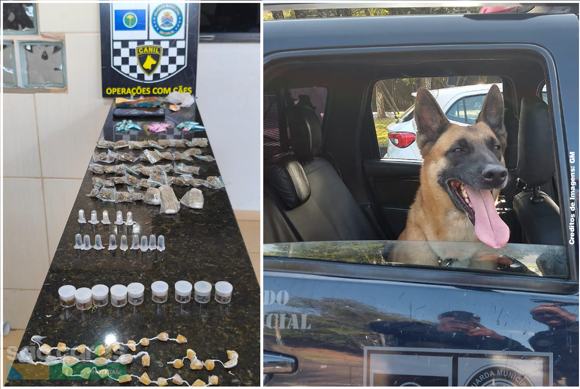 Ação da Guarda Municipal no Santa Angelina termina com apreensão de dr0g4s e captura de procurado com mandado de prisão