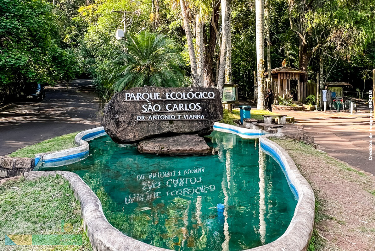 Serviço Voluntário 2026: Parque Ecológico de São Carlos abre vagas para transformar a educação ambiental