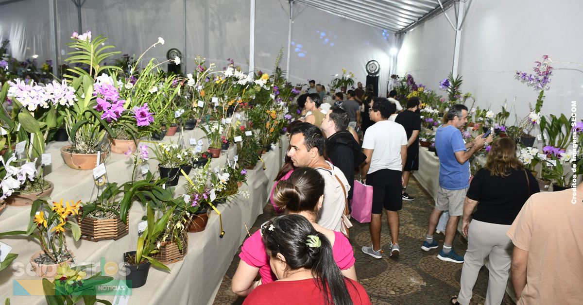 Exposição de Orquídeas encanta São Carlos na Praça da XV em 2026