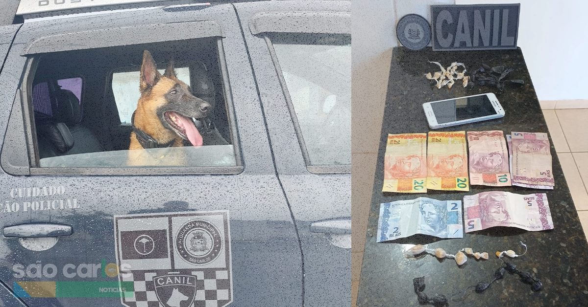 Guarda Municipal captura procurado e apreende drogas no Lutfalla
