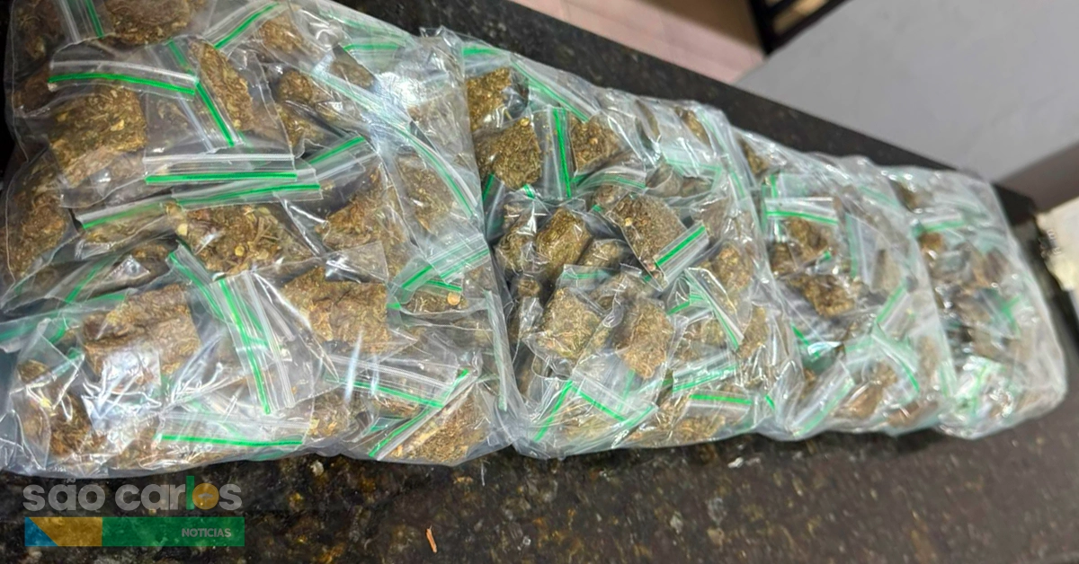 Maconha no Cidade Aracy: Força Tática apreende mais de 1 kg