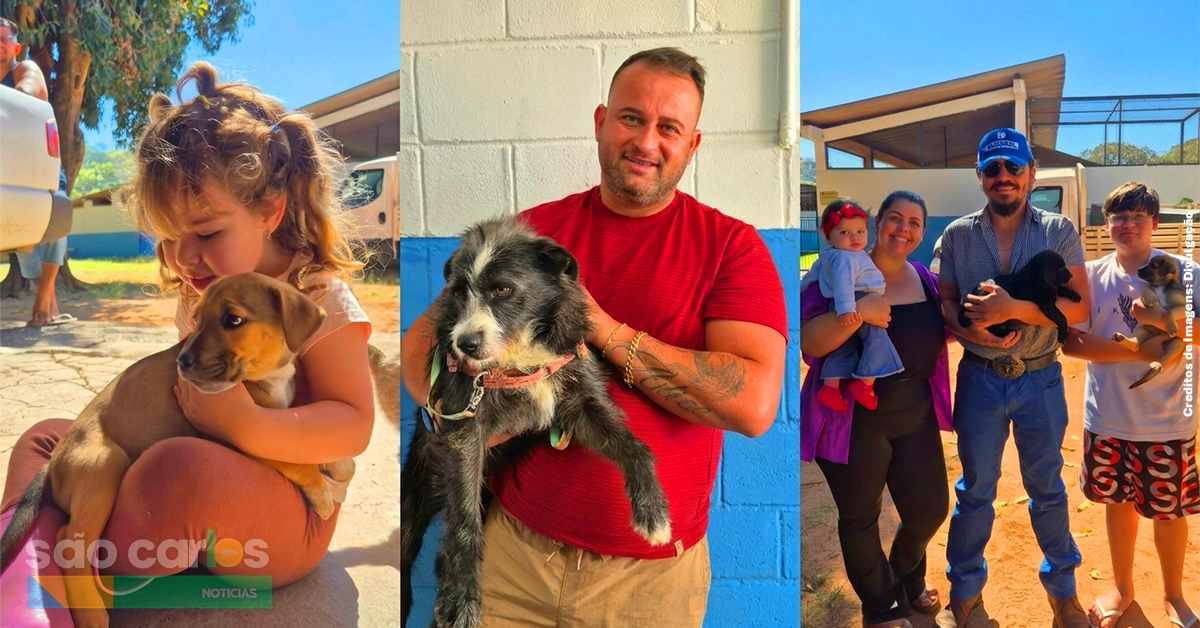 Adoção de cães em São Carlos 2026: Feira no Canil garante lar para 19 pets