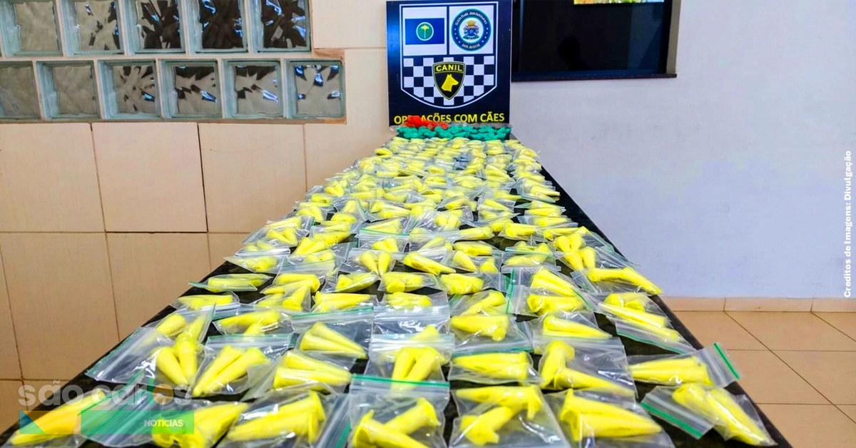 Apreensão de drogas na Vila Jacobucci em São Carlos: Canil da GM localiza entorpecentes em bueiro