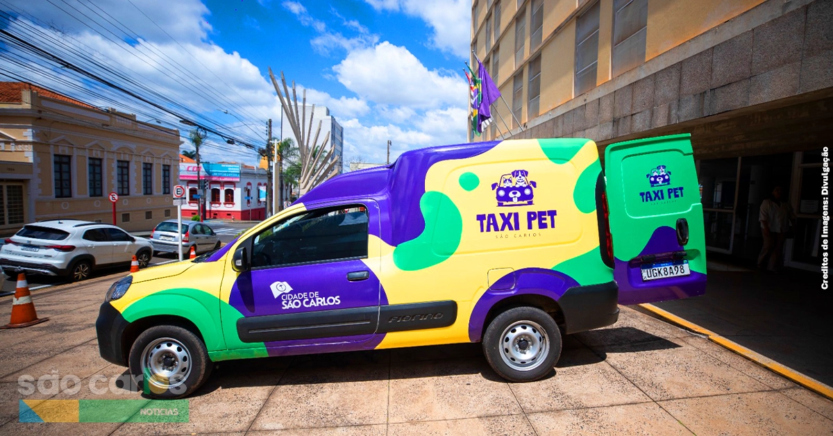 Táxi Pet São Carlos 2026: Veja regras e como agendar transporte grátis